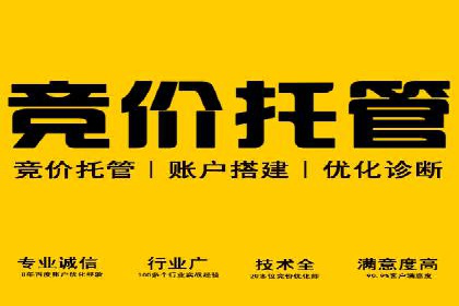 案例剖析：托管竞价SEM助力业绩提升